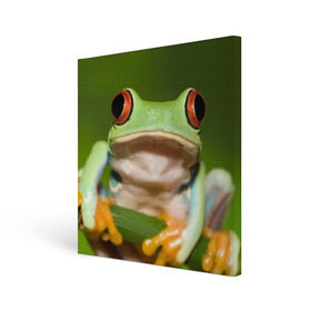 Холст квадратный с принтом Лягушка в городе Новоалтайск, 100% ПВХ |  | frog | жаба | животные | зеленый | ква | лягуха | лягушка | лягушонок