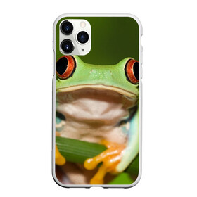 Чехол для iPhone 11 Pro матовый с принтом Лягушка в городе Новоалтайск, Силикон |  | frog | жаба | животные | зеленый | ква | лягуха | лягушка | лягушонок