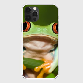 Чехол для iPhone 12 Pro Max Лягушка: в городе Новоалтайск, Силикон | | frog | жаба | животные | зеленый | ква | лягуха | лягушка | лягушонок
