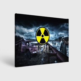 Холст прямоугольный с принтом S.T.A.L.K.E.R. - Т.Ё.М.А. в городе Новоалтайск, 100% ПВХ |  | stalker | артём | волки | грузовик | имя | мрак | припять | птицы | радиация | сталкер | тёма | чернобыль