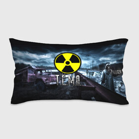 Подушка 3D антистресс с принтом S.T.A.L.K.E.R. - Т.Ё.М.А. в городе Новоалтайск, наволочка — 100% полиэстер, наполнитель — вспененный полистирол | состоит из подушки и наволочки на молнии | stalker | артём | волки | грузовик | имя | мрак | припять | птицы | радиация | сталкер | тёма | чернобыль