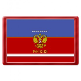 Магнит 45*70 с принтом Хоккеист Владимир в городе Новоалтайск, Пластик | Размер: 78*52 мм; Размер печати: 70*45 | владимир | вова | вовка | володя | герб | имена | красно синяя | надпись | россии | россия | рф | сборная | форма | хоккей | хоккей имя
