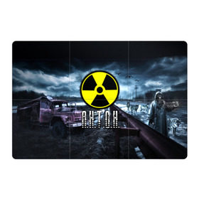 Магнитный плакат 3Х2 с принтом S.T.A.L.K.E.R. - А.Н.Т.О.Н. в городе Новоалтайск, Полимерный материал с магнитным слоем | 6 деталей размером 9*9 см | stalker | антон | антошка | припять | радиация | сталкер | тоха | тоша | чернобыль