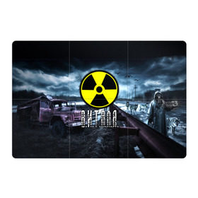 Магнитный плакат 3Х2 с принтом S.T.A.L.K.E.R. - В.И.Т.А.Л.Я. в городе Новоалтайск, Полимерный материал с магнитным слоем | 6 деталей размером 9*9 см | stalker | виталий | виталик | виталя | припять | радиация | сталкер | чернобыль