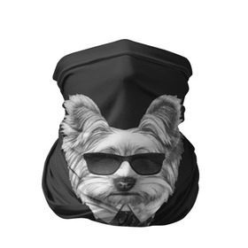 Бандана-труба 3D Йоркширский терьер_13: в городе Новоалтайск, 100% полиэстер, ткань с особыми свойствами — Activecool | плотность 150‒180 г/м2; хорошо тянется, но сохраняет форму | домашние животные | пес | собака | терьер