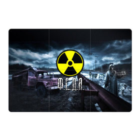 Магнитный плакат 3Х2 с принтом S.T.A.L.K.E.R. - Ф.Е.Д.Я. в городе Новоалтайск, Полимерный материал с магнитным слоем | 6 деталей размером 9*9 см | stalker | буквы | волки | грузовик | знак | игра | имя | ммо | мрак | надпись | опасность | припять | птицы | радиация | рпг | сталкер | федор | федот | фёдр | федя | чернобыль | шутер