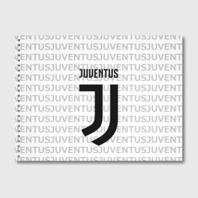 Альбом для рисования с принтом Juventus 2018 Original в городе Новоалтайск, 100% бумага
 | матовая бумага, плотность 200 мг. | Тематика изображения на принте: juventus | спорт | спортивные | футбол | футбольный клуб | ювентус