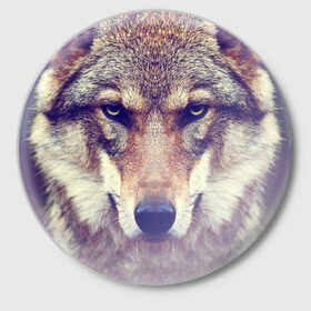 Значок с принтом Wolf в городе Новоалтайск,  металл | круглая форма, металлическая застежка в виде булавки | Тематика изображения на принте: animal | волк | хищник