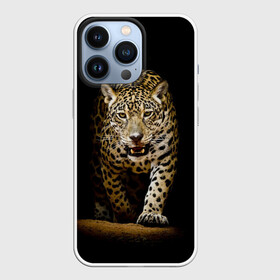 Чехол для iPhone 13 Pro с принтом Leopard в городе Новоалтайск,  |  | Тематика изображения на принте: дикая кошка | зверь | клыки | кот | леопард | оскал | пантера | природа | хищник | ягуар