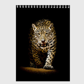 Скетчбук с принтом Leopard в городе Новоалтайск, 100% бумага
 | 48 листов, плотность листов — 100 г/м2, плотность картонной обложки — 250 г/м2. Листы скреплены сверху удобной пружинной спиралью | Тематика изображения на принте: дикая кошка | зверь | клыки | кот | леопард | оскал | пантера | природа | хищник | ягуар