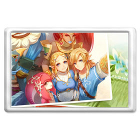 Магнит 45*70 с принтом Линк и Зельда в городе Новоалтайск, Пластик | Размер: 78*52 мм; Размер печати: 70*45 | Тематика изображения на принте: legend of zelda | link | зельда | линк