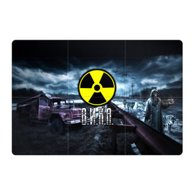 Магнитный плакат 3Х2 с принтом S.T.A.L.K.E.R. - В.И.К.А. в городе Новоалтайск, Полимерный материал с магнитным слоем | 6 деталей размером 9*9 см | stalker | буквы | вика | виктория | викуся | волки | грузовик | знак | игра | имя | ммо | мрак | надпись | опасность | припять | птицы | радиация | рпг | сталкер | чернобыль | шутер