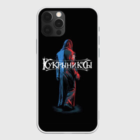 Чехол для iPhone 12 Pro с принтом Кукрыниксы прощальный тур в городе Новоалтайск, силикон | область печати: задняя сторона чехла, без боковых панелей | алексей горшенёв | альтернативный | вагон | горшок | готик | группа | дмитрий оганян | игорь воронов | кукрыниксы | михаил фомин | панк | панкрок | постпанк | рок | российская | русская | ягодка