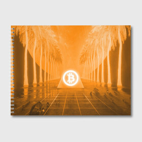 Альбом для рисования с принтом BITCOIN в городе Новоалтайск, 100% бумага
 | матовая бумага, плотность 200 мг. | Тематика изображения на принте: bitcoin | btc | coin | crypto | ethereum | money | orange | биткоин | валюта | деньги | известные | криптовалюта | логотип | монета | надписи.cash | оранжевый | цвет | цифровое золото | эфир