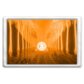 Магнит 45*70 с принтом BITCOIN в городе Новоалтайск, Пластик | Размер: 78*52 мм; Размер печати: 70*45 | Тематика изображения на принте: bitcoin | btc | coin | crypto | ethereum | money | orange | биткоин | валюта | деньги | известные | криптовалюта | логотип | монета | надписи.cash | оранжевый | цвет | цифровое золото | эфир