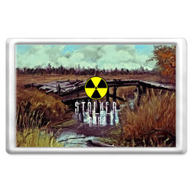 Магнит 45*70 с принтом S.T.A.L.K.E.R ВАНЯ в городе Новоалтайск, Пластик | Размер: 78*52 мм; Размер печати: 70*45 | stalker |   припять | иван | сталкер | чернобыль