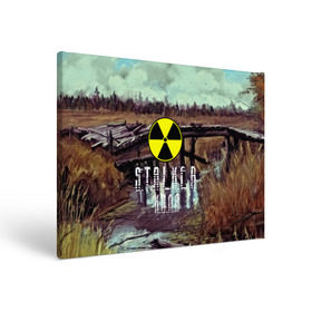 Холст прямоугольный с принтом S.T.A.L.K.E.R КОЛЯ в городе Новоалтайск, 100% ПВХ |  | николай | припять | сталкер | чернобыль