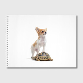 Альбом для рисования с принтом Милые друзья в городе Новоалтайск, 100% бумага
 | матовая бумага, плотность 200 мг. | Тематика изображения на принте: милый | собака | черепаxа | щенок