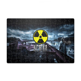 Пазл магнитный 126 элементов с принтом S.T.A.L.K.E.R. - К.С.Ю.Х.А. в городе Новоалтайск, полимерный материал с магнитным слоем | 126 деталей, размер изделия —  180*270 мм | stalker | ксения | ксюха | ксюша | ксюшенька | сталкер
