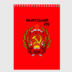 Скетчбук с принтом Анатолий из СССР в городе Новоалтайск, 100% бумага
 | 48 листов, плотность листов — 100 г/м2, плотность картонной обложки — 250 г/м2. Листы скреплены сверху удобной пружинной спиралью | Тематика изображения на принте: 1990 | name | ussr | анатолий | имена | молот | серп | снг | советский союз | ссср