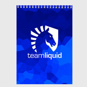 Скетчбук с принтом Team Liquid в городе Новоалтайск, 100% бумага
 | 48 листов, плотность листов — 100 г/м2, плотность картонной обложки — 250 г/м2. Листы скреплены сверху удобной пружинной спиралью | awp | counter strike | cs go | cybersport | game | skin | team liquid | авп | игры | киберспорт | скин