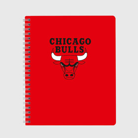Тетрадь с принтом Chicago Bulls в городе Новоалтайск, 100% бумага | 48 листов, плотность листов — 60 г/м2, плотность картонной обложки — 250 г/м2. Листы скреплены сбоку удобной пружинной спиралью. Уголки страниц и обложки скругленные. Цвет линий — светло-серый
 | bulls | chicago | chicago bulls | nba | баскетбол | буллз | нба | чикаго буллз