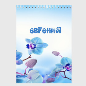 Скетчбук с принтом Евгения в городе Новоалтайск, 100% бумага
 | 48 листов, плотность листов — 100 г/м2, плотность картонной обложки — 250 г/м2. Листы скреплены сверху удобной пружинной спиралью | flower | name | spring | букет | весна | евгения | имена | имя | природа | узор | цветочный | цветы