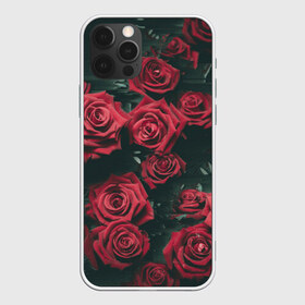 Чехол для iPhone 12 Pro Max с принтом Цветы Розы в городе Новоалтайск, Силикон |  | 8 | день | женский | женский день | красная | любовь | марта | роза | розы | цветы