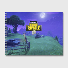 Альбом для рисования с принтом Fortnite Night в городе Новоалтайск, 100% бумага
 | матовая бумага, плотность 200 мг. | 99 problem | 99 problems | abstract | battle | black | fortnite | heroes | night | royale | survival | абстракция | битва | королевская | королей | ночь | фартнайт | фортнайт | фортнит | черная