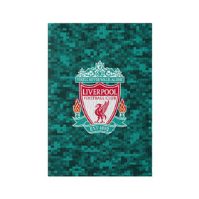 Обложка для паспорта матовая кожа Liverpool FC: в городе Новоалтайск, натуральная матовая кожа | размер 19,3 х 13,7 см; прозрачные пластиковые крепления | england | football | liverpool fc | logo | sport | англия | арт | ливерпуль | лига | лого | спорт | текстура | фк | футбол | футбольный клуб | эмблема