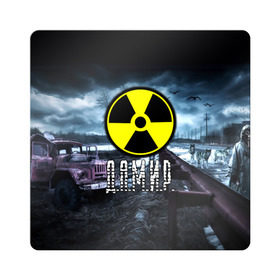Магнит виниловый Квадрат с принтом S.T.A.L.K.E.R. - Д.А.М.И.Р. в городе Новоалтайск, полимерный материал с магнитным слоем | размер 9*9 см, закругленные углы | stalker | буквы | волки | грузовик | дамир | дамирчик | знак | игра | имя | ммо | мрак | надпись | опасность | припять | птицы | радиация | рпг | сталкер | чернобыль | шутер