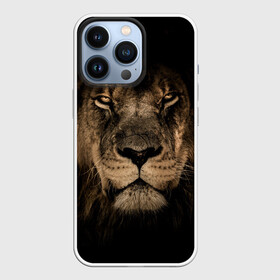 Чехол для iPhone 13 Pro с принтом Лев в городе Новоалтайск,  |  | Тематика изображения на принте: животные | кошка | лев | мордочка | природа | тигр | хищник
