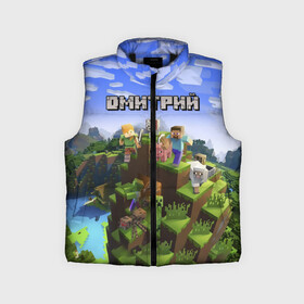 Детский жилет утепленный 3D с принтом Дмитрий   Minecraft в городе Новоалтайск,  |  | minecraft | дима | димачка | димка | димон | дмитрий | добывать | игра | игрушка | имя | компьютерная | кубики | майкрафт | майн крафт | майнкрафт | пиксели | пиксель | ремесло | с именем | шахта