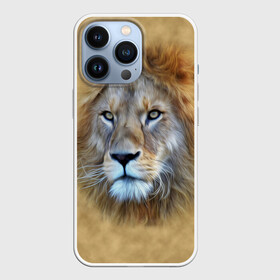 Чехол для iPhone 13 Pro с принтом Лев в городе Новоалтайск,  |  | Тематика изображения на принте: голова | животные | кошка | лев | львица | природа | хищник