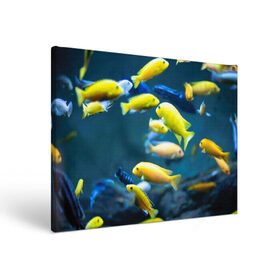 Холст прямоугольный с принтом Рыбки в городе Новоалтайск, 100% ПВХ |  | fish | fishes | pisces | море | морские обитатели | морской | океан | рыбы
