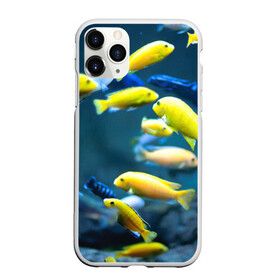 Чехол для iPhone 11 Pro Max матовый с принтом Рыбки в городе Новоалтайск, Силикон |  | Тематика изображения на принте: fish | fishes | pisces | море | морские обитатели | морской | океан | рыбы