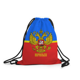 Рюкзак-мешок 3D с принтом Норильск в городе Новоалтайск, 100% полиэстер | плотность ткани — 200 г/м2, размер — 35 х 45 см; лямки — толстые шнурки, застежка на шнуровке, без карманов и подкладки | abstraction | grunge | russia | sport | абстракция | герб | краска | норильск | русский | символика рф | спорт | спортивный | триколор | униформа | форма | я русский