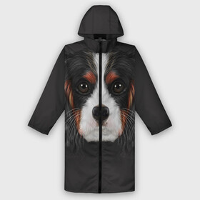 Дождевик унисекс 3D с принтом Cavalier King Charles в городе Новоалтайск,  |  | голова | собака | спаниель
