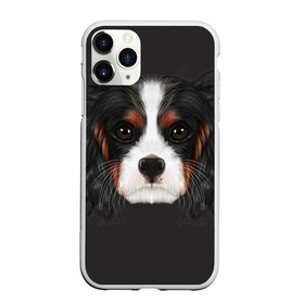 Чехол для iPhone 11 Pro Max матовый с принтом Cavalier King Charles в городе Новоалтайск, Силикон |  | голова | собака | спаниель