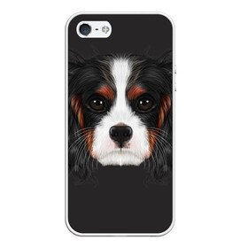 Чехол для iPhone 5/5S матовый с принтом Cavalier King Charles в городе Новоалтайск, Силикон | Область печати: задняя сторона чехла, без боковых панелей | Тематика изображения на принте: голова | собака | спаниель