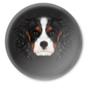 Значок с принтом Cavalier King Charles в городе Новоалтайск,  металл | круглая форма, металлическая застежка в виде булавки | Тематика изображения на принте: голова | собака | спаниель