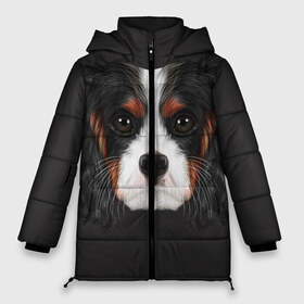 Женская зимняя куртка 3D с принтом Cavalier King Charles в городе Новоалтайск, верх — 100% полиэстер; подкладка — 100% полиэстер; утеплитель — 100% полиэстер | длина ниже бедра, силуэт Оверсайз. Есть воротник-стойка, отстегивающийся капюшон и ветрозащитная планка. 

Боковые карманы с листочкой на кнопках и внутренний карман на молнии | голова | собака | спаниель
