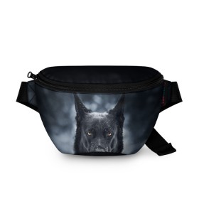 Поясная сумка 3D с принтом Dark Dog в городе Новоалтайск, 100% полиэстер | плотная ткань, ремень с регулируемой длиной, внутри несколько карманов для мелочей, основное отделение и карман с обратной стороны сумки застегиваются на молнию | пес | собака