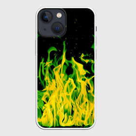 Чехол для iPhone 13 mini с принтом Дикий огонь в городе Новоалтайск,  |  | зеленое пламя | зеленый огонь