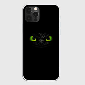 Чехол для iPhone 12 Pro Max с принтом как приручить дракона в городе Новоалтайск, Силикон |  | Тематика изображения на принте: how to train your dragon | беззубик | викинги | дракон | как приручить дракона | ночная фурия