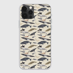 Чехол для iPhone 12 Pro Max с принтом Whales pattern в городе Новоалтайск, Силикон |  | whale | акула | горбач | касатка | кашалот | кит | море | океан | рыбы | синий кит