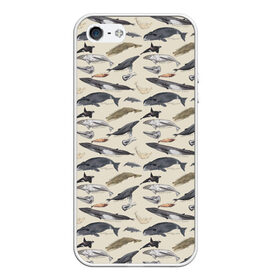 Чехол для iPhone 5/5S матовый с принтом Whales pattern в городе Новоалтайск, Силикон | Область печати: задняя сторона чехла, без боковых панелей | Тематика изображения на принте: whale | акула | горбач | касатка | кашалот | кит | море | океан | рыбы | синий кит