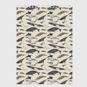 Скетчбук с принтом Whales pattern в городе Новоалтайск, 100% бумага
 | 48 листов, плотность листов — 100 г/м2, плотность картонной обложки — 250 г/м2. Листы скреплены сверху удобной пружинной спиралью | Тематика изображения на принте: whale | акула | горбач | касатка | кашалот | кит | море | океан | рыбы | синий кит