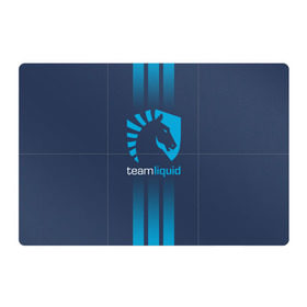 Магнитный плакат 3Х2 с принтом TEAM LIQUID E-SPORT в городе Новоалтайск, Полимерный материал с магнитным слоем | 6 деталей размером 9*9 см | 2019 | blue | cybersport | esport | liquid | logo | pro league | team | team liquid | киберспорт | логотип | тим ликвид | фирменные цвета