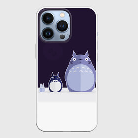 Чехол для iPhone 13 Pro с принтом Мой сосед Тоторо в городе Новоалтайск,  |  | totoro | хаяо миядзаки